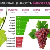 Koje vitamine sadrži grožđe i da li se može davati deci i trudnicama